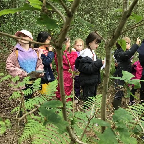 Day 2. Group 1. Miss Stocking & Mrs Goldie. Woodland Detectives.