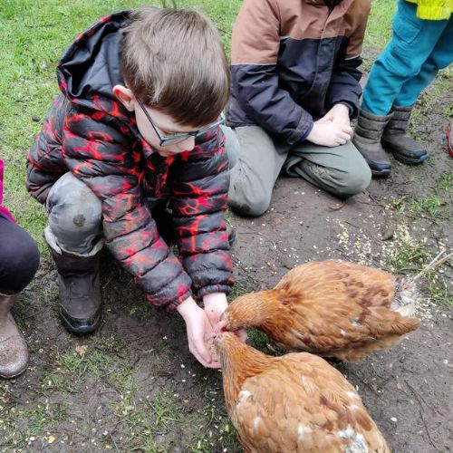 Thursday - meeting the animals - all groups